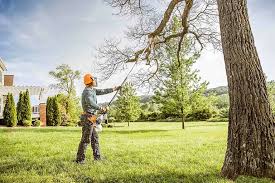 Best Seasonal Cleanup (Spring/Fall)  in Ontario, CA